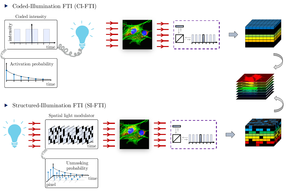 Compressive Fourier Transform Interferometry for Hyperspectral Imaging